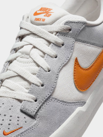 Кеды низкие NIKE SB Force 58 модель DV5477-007 Фото