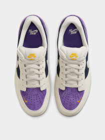 Кеды низкие NIKE SB Force 58 модель DV5477-403 Фото