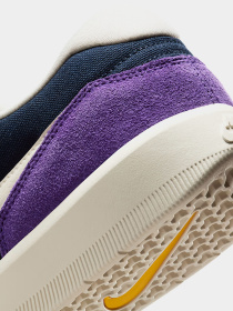 Кеды низкие NIKE SB Force 58 модель DV5477-403 Фото