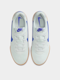 Кросівки повсякденні NIKE TERRA MANTA модель HQ4502-102 Фото