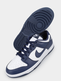 Кеды низкие NIKE Dunk Low Retro модель HF5441-107 Фото