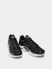 Кроссовки повседневные NIKE AIR MAX PLUS модель DM2362-001 Фото
