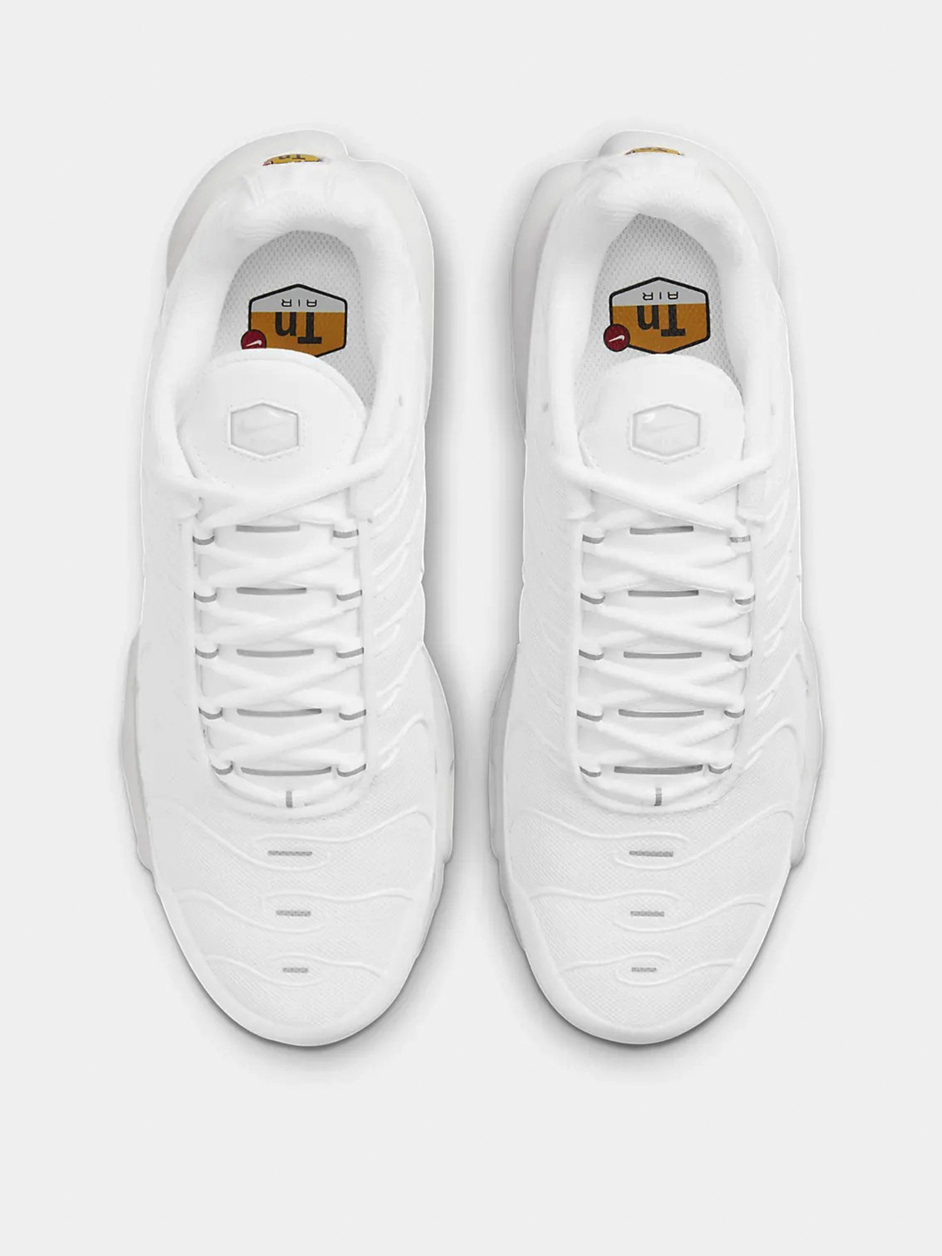 Кроссовки NIKE Air Max Plus модель DM2362-100 Фото