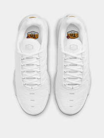 Кроссовки NIKE Air Max Plus модель DM2362-100 Фото