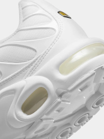 Кроссовки NIKE Air Max Plus модель DM2362-100 Фото