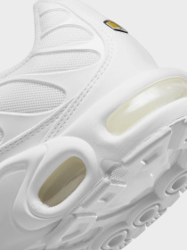 Кроссовки NIKE Air Max Plus модель DM2362-100 Фото