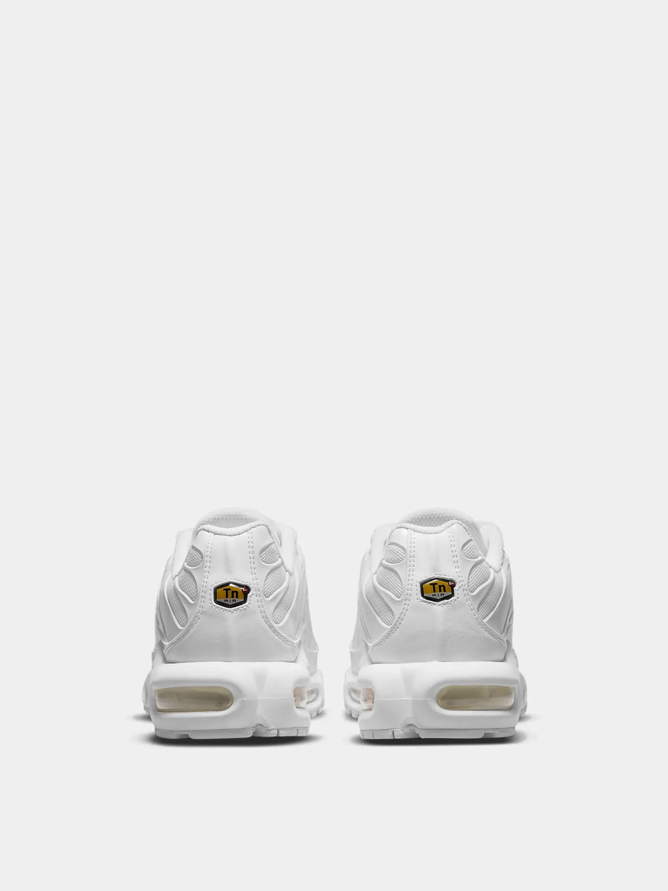 Кроссовки повседневные NIKE AIR MAX PLUS модель DM2362-100 Фото