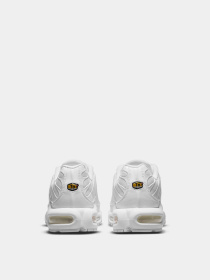 Кроссовки повседневные NIKE AIR MAX PLUS модель DM2362-100 Фото