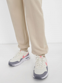 Кросівки NIKE Air Max SC модель CW4554-114 Фото