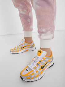Кросівки повсякденні NIKE P-6000 модель FJ4745-700 Фото