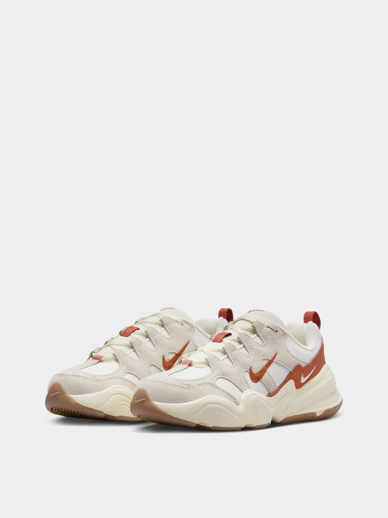 Кроссовки NIKE Tech hera модель FQ8107-133 Фото