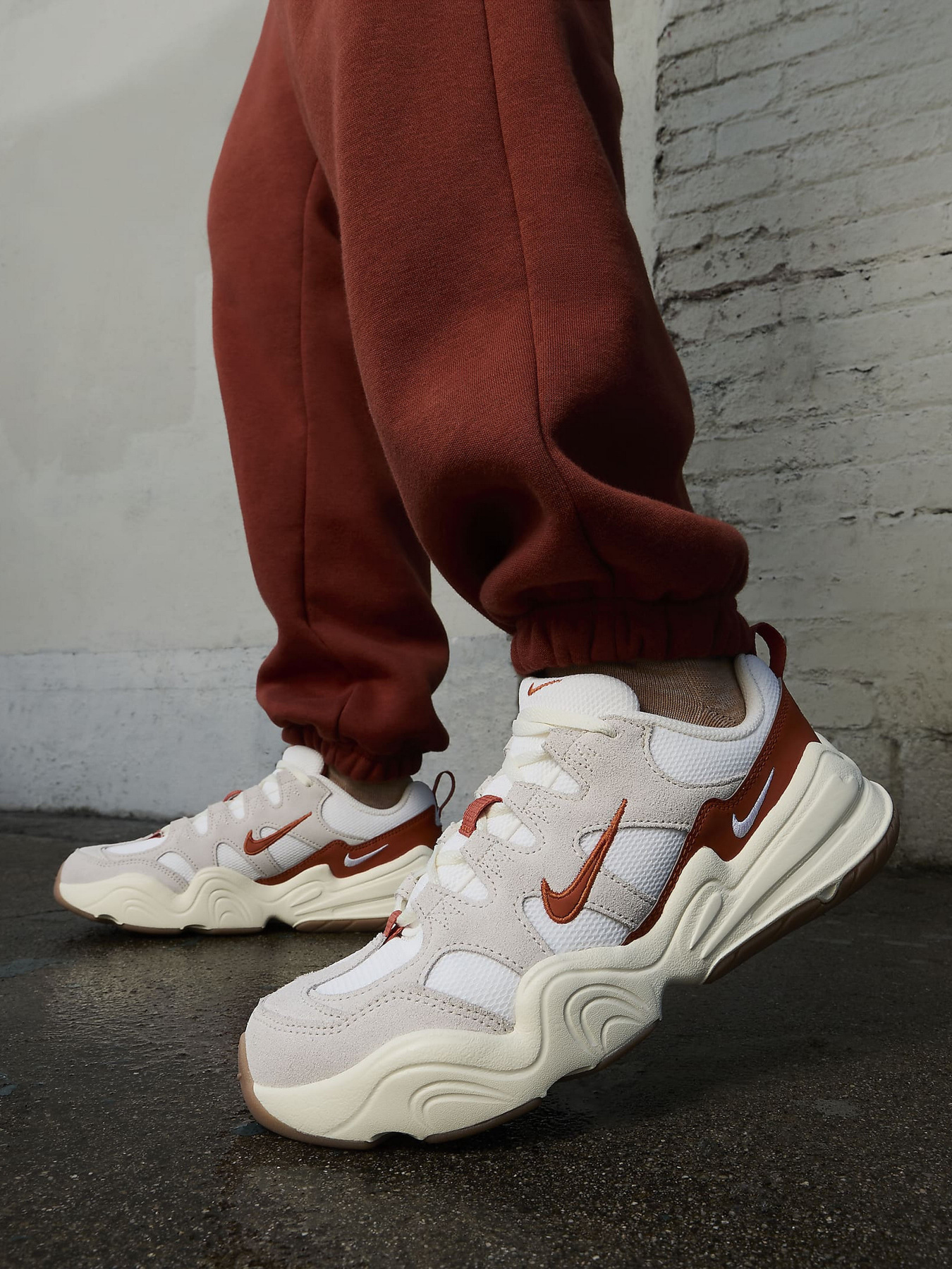 Кроссовки повседневные NIKE TECH HERA модель FQ8107-133 Кроссовки повседневные NIKE TECH HERA модель FQ8107-133 Фото