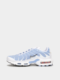 Кроссовки NIKE Air Max Plus White Aluminum модель DZ3671-105 Фото