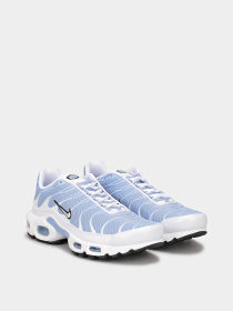 Кроссовки NIKE Air Max Plus White Aluminum модель DZ3671-105 Фото