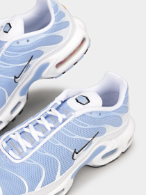 Кроссовки NIKE Air Max Plus White Aluminum модель DZ3671-105 Фото