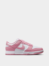 Кроссовки NIKE Dunk Low Next Nature модель DD1873-112 Фото