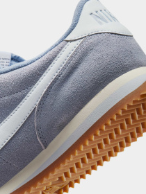 NIKE IB1857-401 модель IB1857-401 Фото