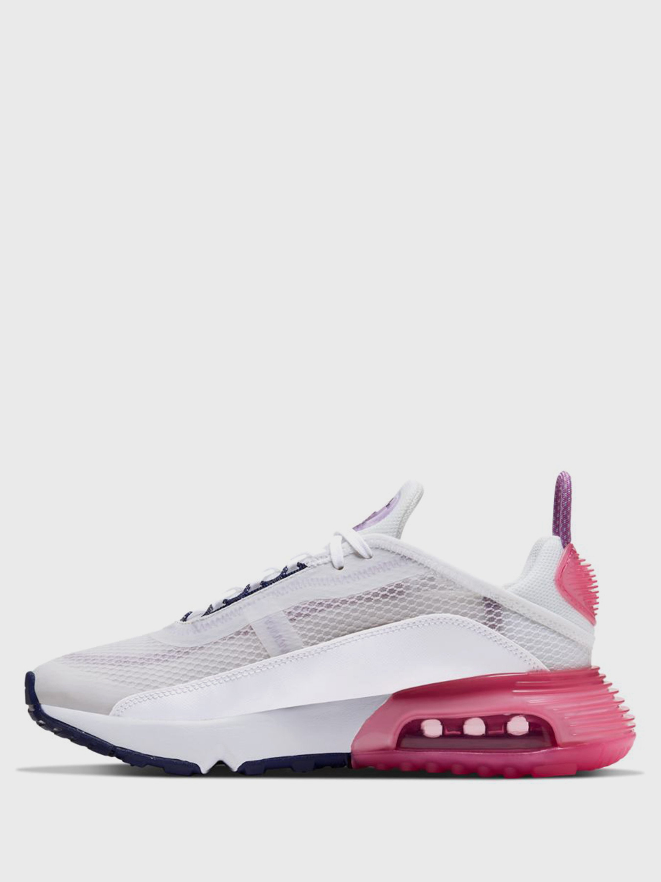 Кроссовки NIKE Air Max 2090 модель CJ4066-003 Фото