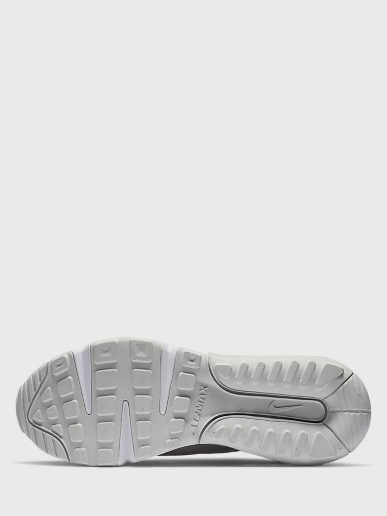 Кросівки NIKE Air Max 2090 модель CJ4066-005 Фото