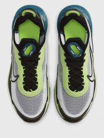 Кросівки NIKE Air Max 2090 модель CJ4066-101 Фото