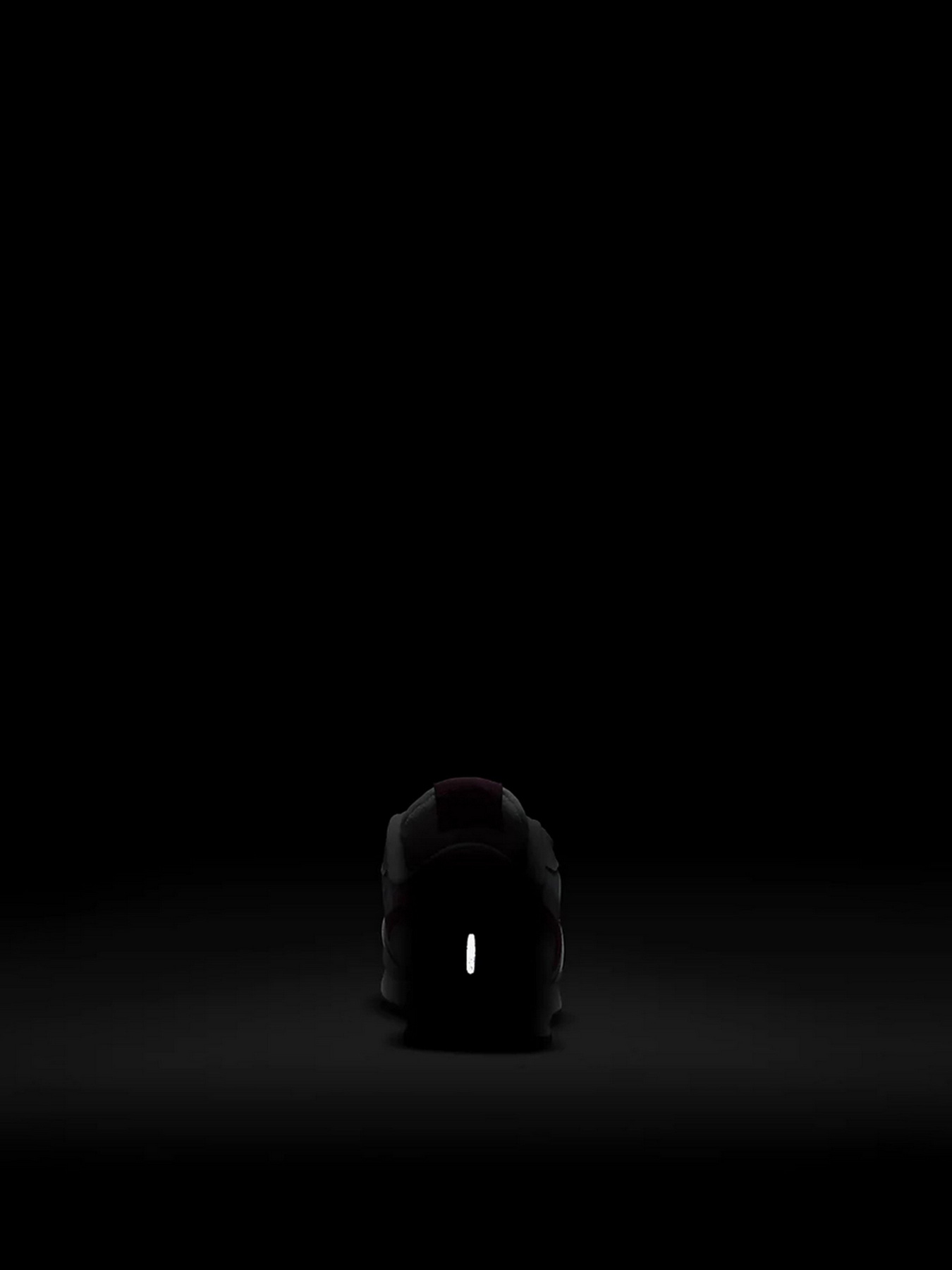 Кроссовки NIKE MD Valiant модель CN8559-019 Фото