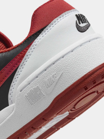 Кросівки NIKE Full Force модель FV5929-100 Фото