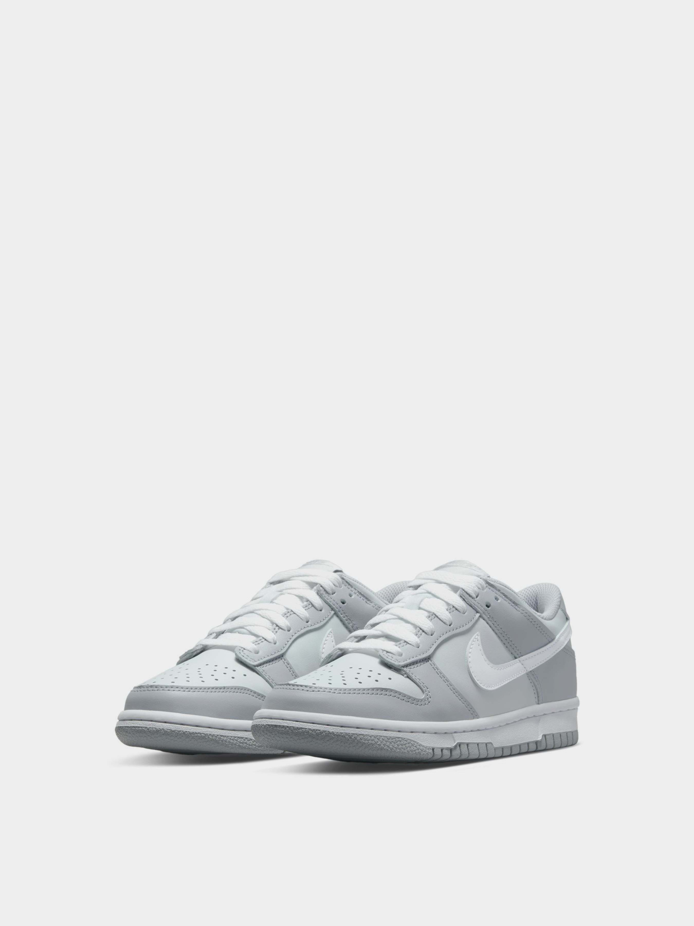 Кроссовки NIKE Dunk Low Two-Toned модель DH9765-001 Фото