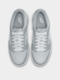 Кроссовки NIKE Dunk Low Two-Toned модель DH9765-001 Фото