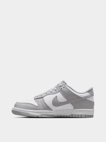 Кроссовки NIKE Dunk Low BG модель FB9109-123 Фото
