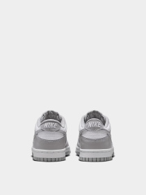 Кроссовки NIKE Dunk Low BG модель FB9109-123 Фото