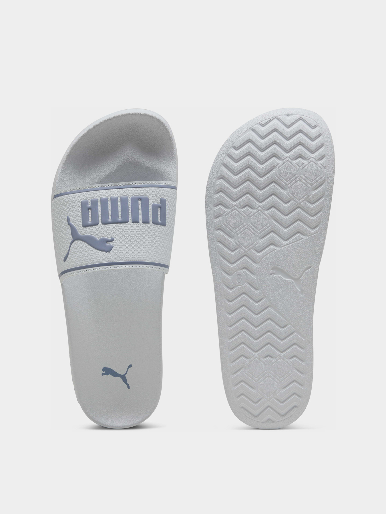 Шлёпанцы PUMA LEADCAT 2.0 модель 39970647 Фото