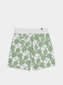 Шорты PUMA Blossom Aop Tr модель 67935286 Фото