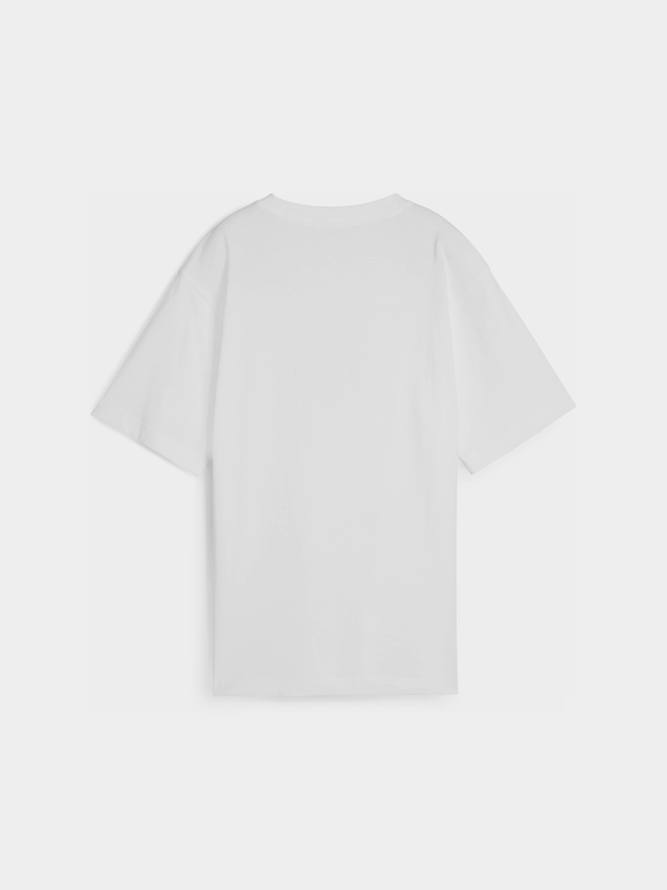 Футболка PUMA DOWNTOWN RELAXED GRAPHIC модель 62665102 Футболка PUMA DOWNTOWN RELAXED GRAPHIC модель 62665102 Фото