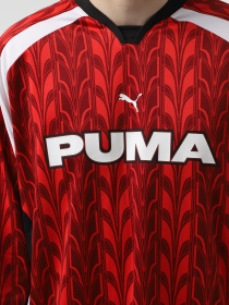 Лонгслив PUMA Football Jersey Easy Rider модель 62754313 Фото