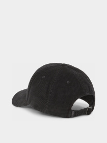 Кепка PUMA SKATE DAD модель 02550201 Фото