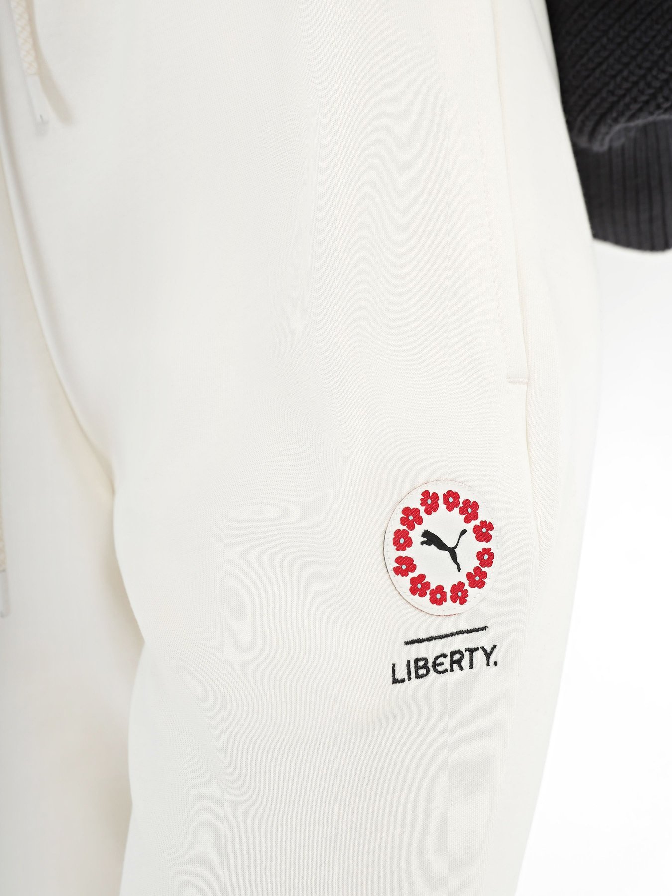 Спортивні штани PUMA Liberty модель 53983265 Фото