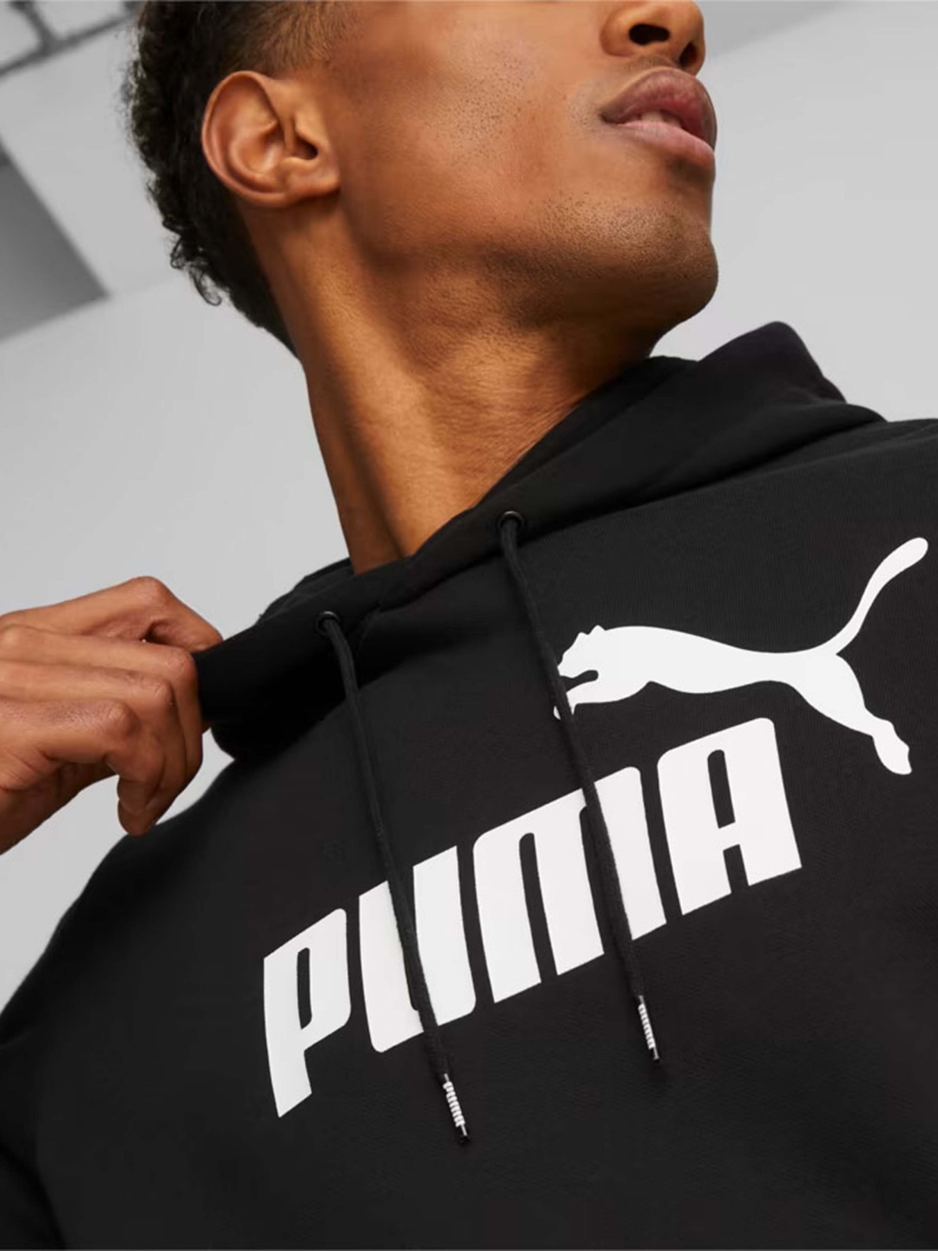 Худи PUMA Essentials Big Logo модель 58668601 Фото