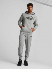 Худи PUMA Essentials Big Logo модель 58668603 Фото