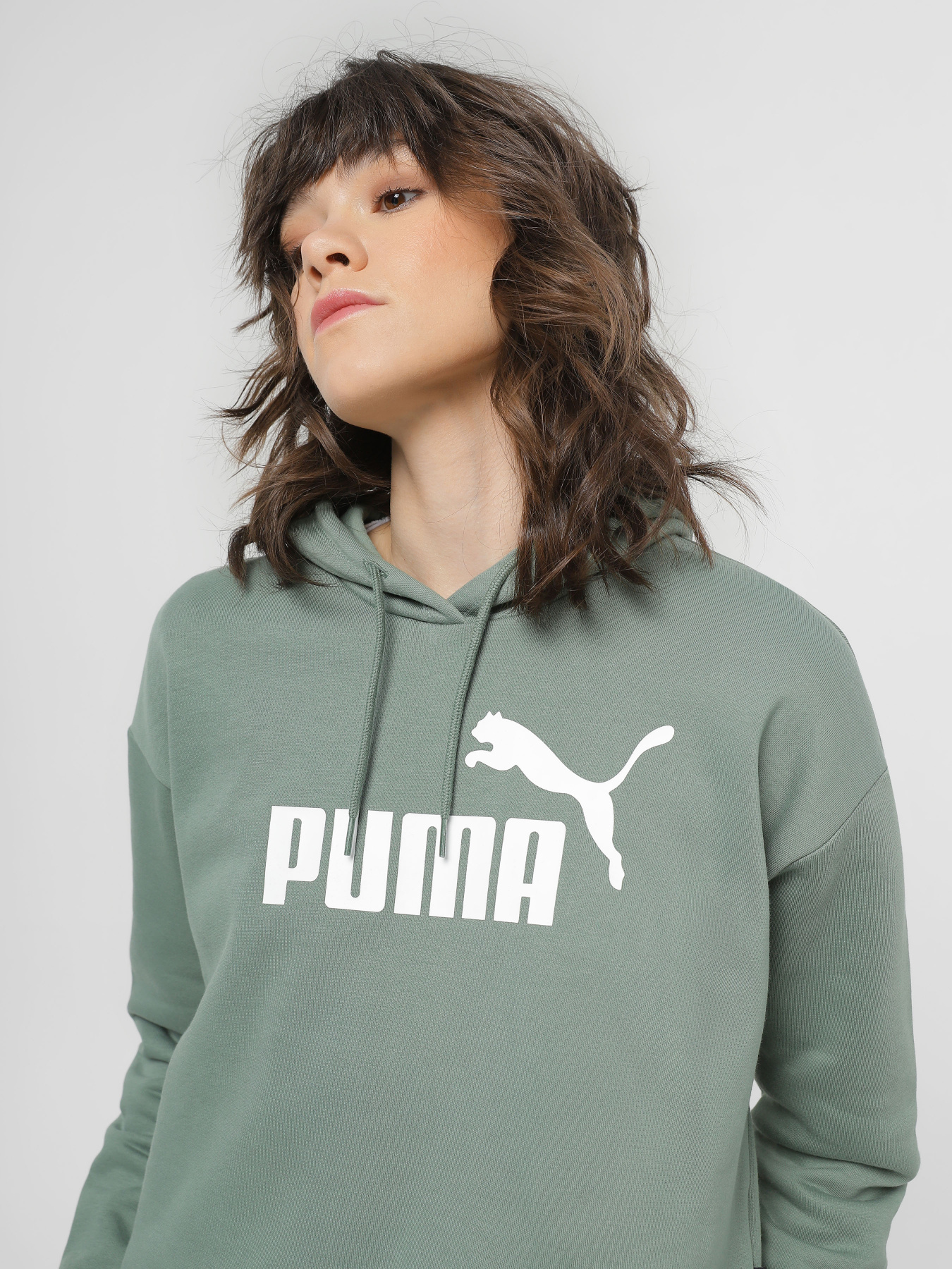 Худи PUMA Essentials Cropped Logo модель 58686948 Фото