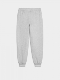 Штаны спортивные PUMA Squad модель 62149104 Фото