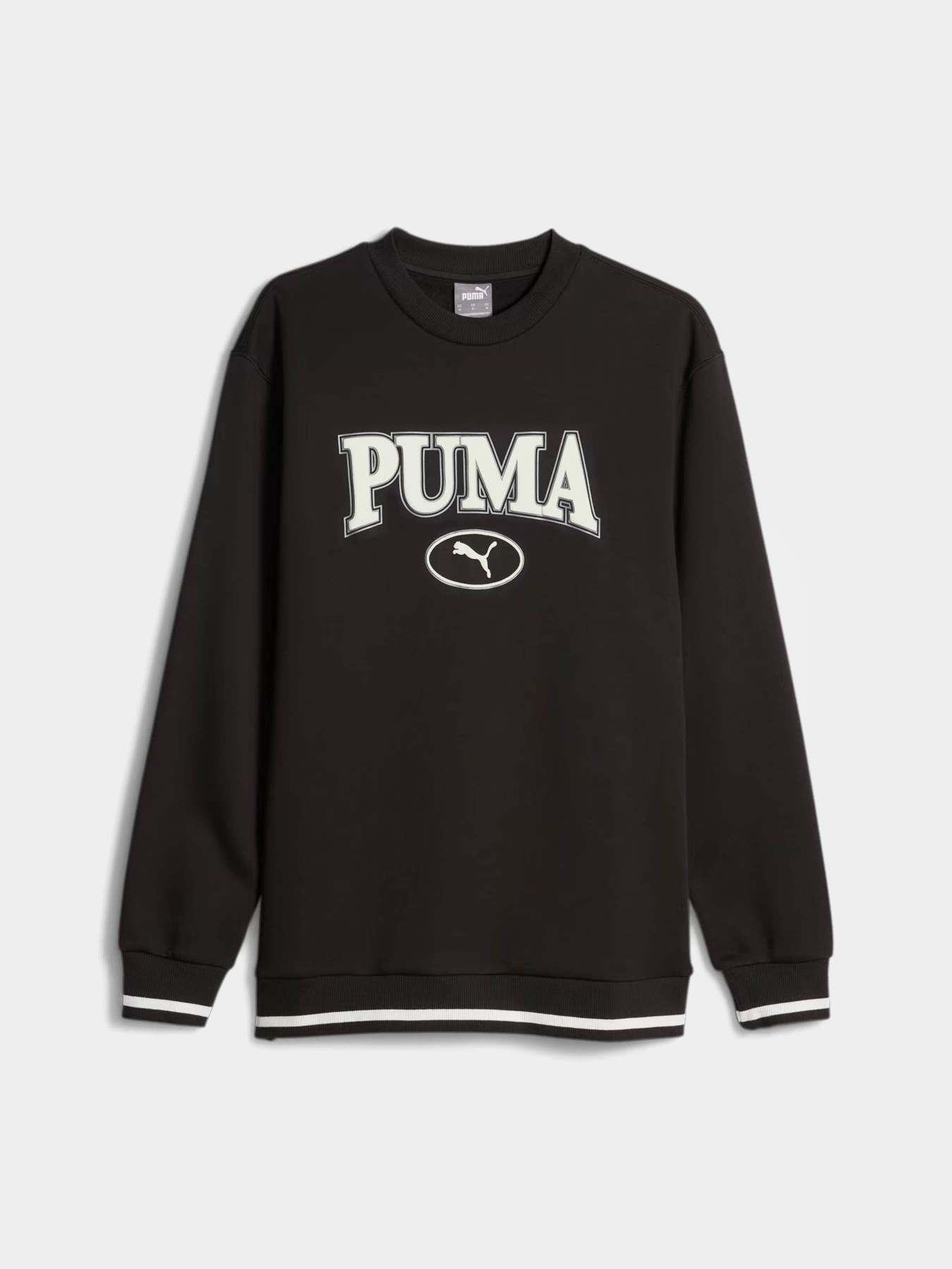 Свитшот PUMA Squad модель 67601601 Фото