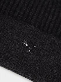 Шапка PUMA METAL CAT BEANIE модель 02487401 Фото
