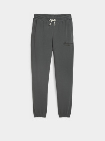 Штаны спортивные PUMA Classics+ модель 62427680 Фото