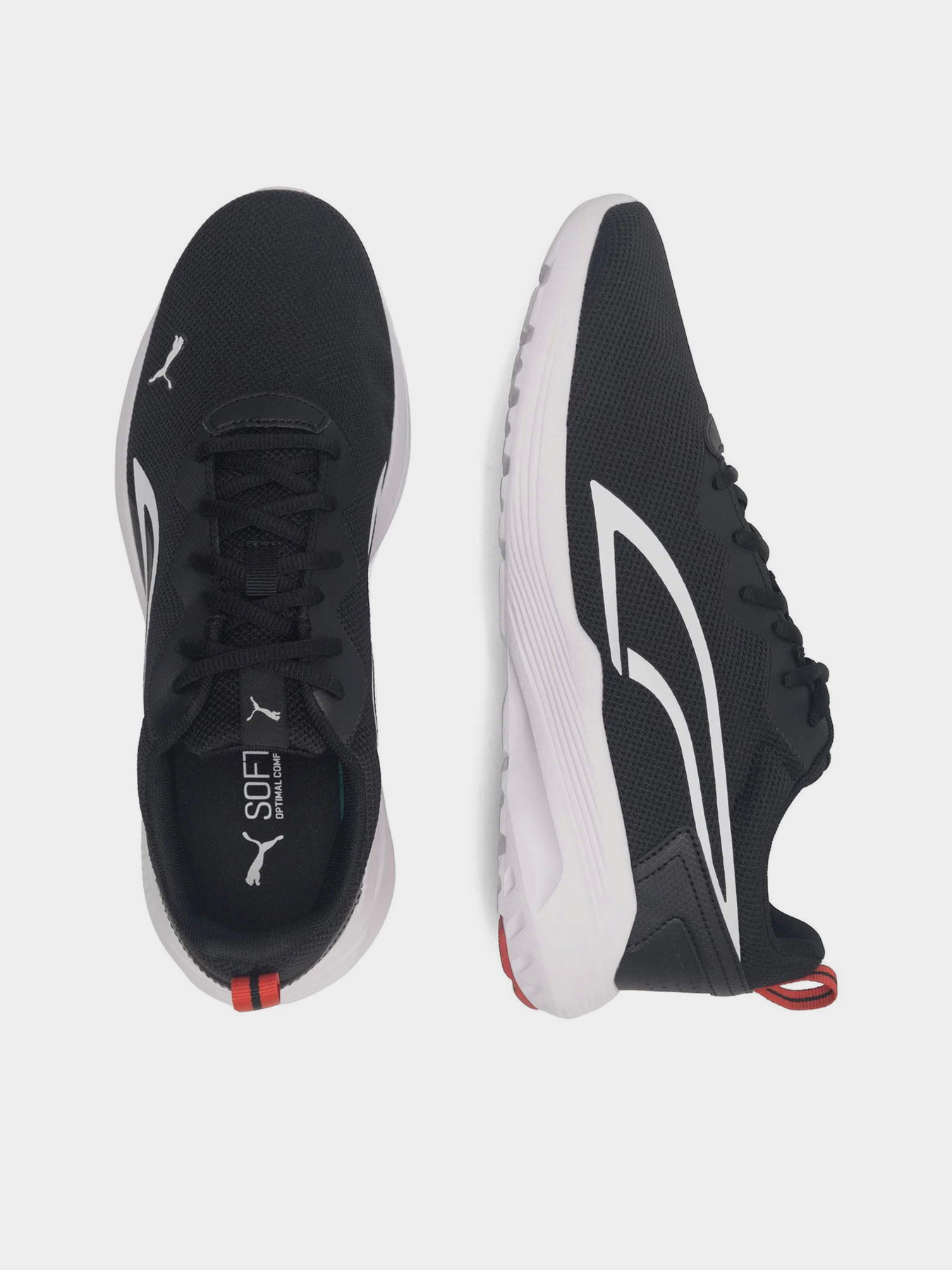 Кросівки для бігу PUMA All-Day Active модель 38626903 Фото