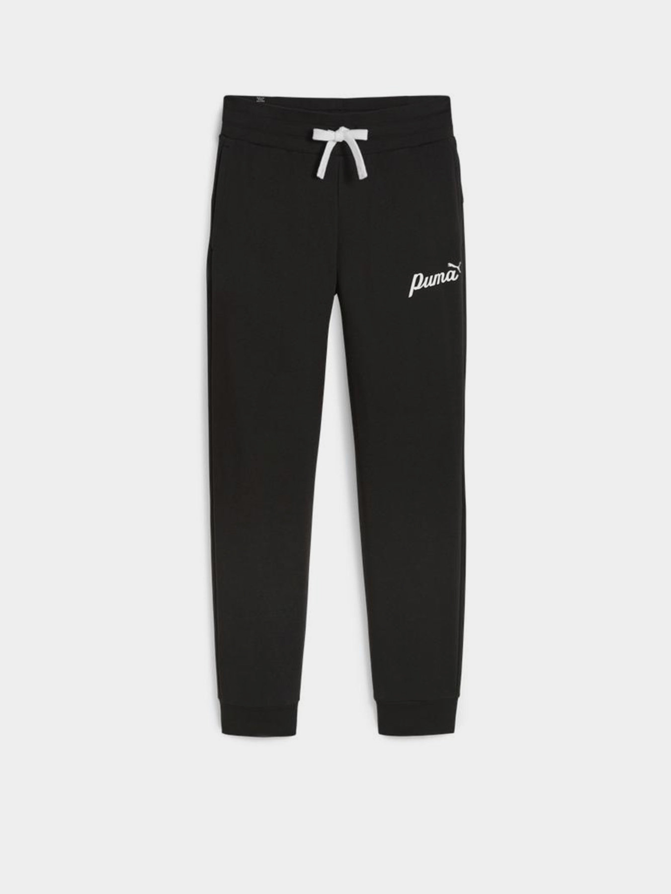 Спортивні штани PUMA ESS+ SCRIPT модель 67935001 Фото