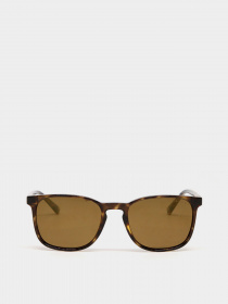 Солнцезащитные очки Casta модель CASTA CS 3013 DEMIBRN Фото