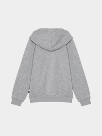 Кофта спортивная PUMA Ess Big Logo Fz модель 58696803 Фото