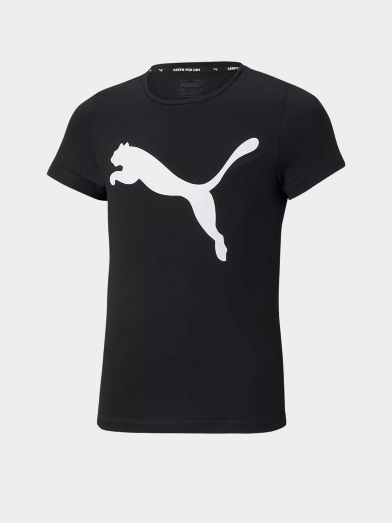 Футболка PUMA Active модель 58700701 Фото