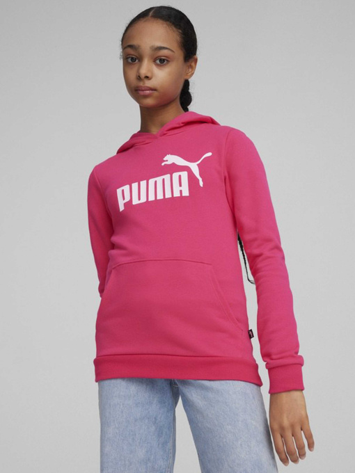 Худи PUMA Essentials Logo модель 58703048 Фото