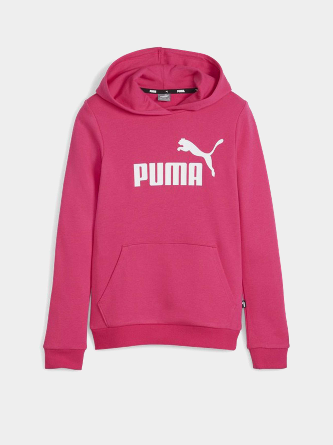 Худі PUMA ESSENTIALS LOGO модель 58703048 Фото